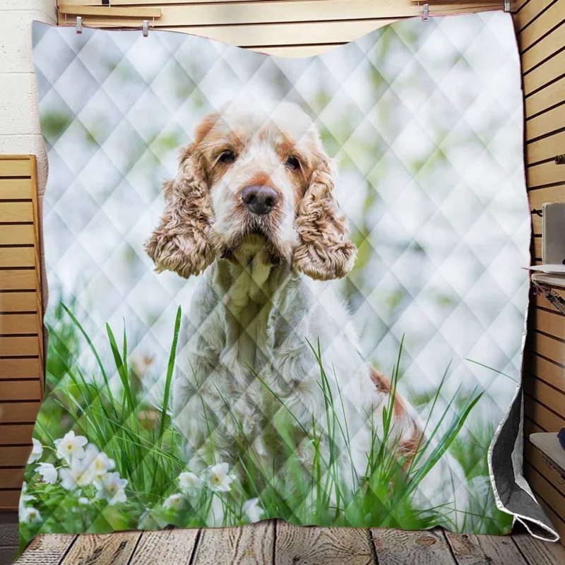 Depth of Field Spaniel Beauty: Cocker Spaniel Quartet Quilt Blanket