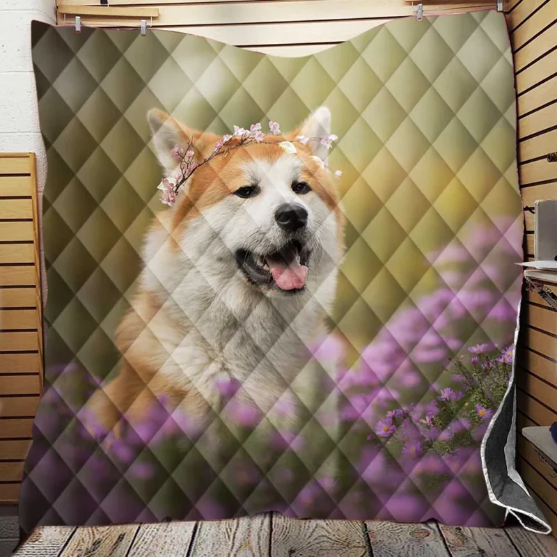 Depth of Field with Purple Blooms: Shiba Inu Quartet Quilt Blanket