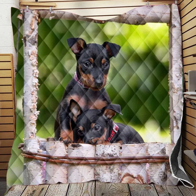 Doberman Puppies in Bauble with Bokeh: Doberman Pinscher Quartet Quilt Blanket