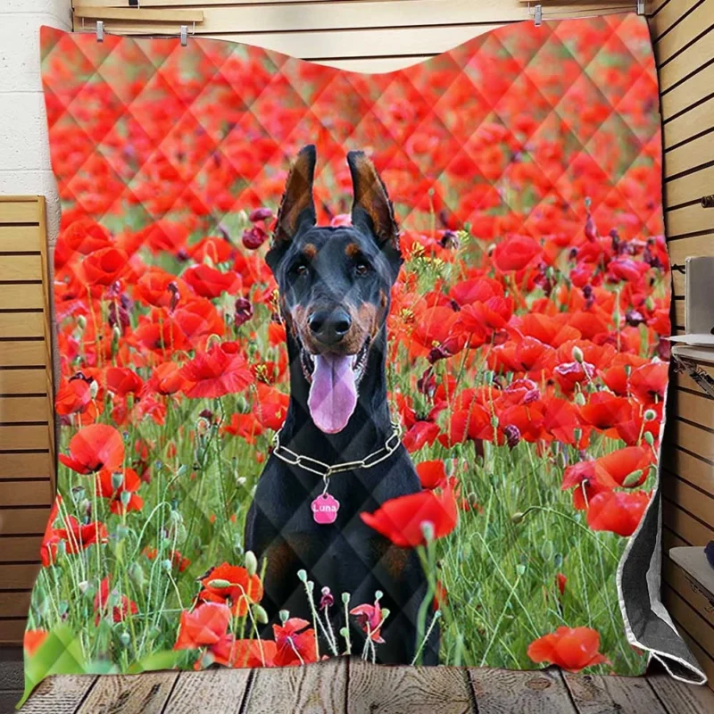 Doberman Puppies in a Poppy Field: Doberman Pinscher Quartet Quilt Blanket