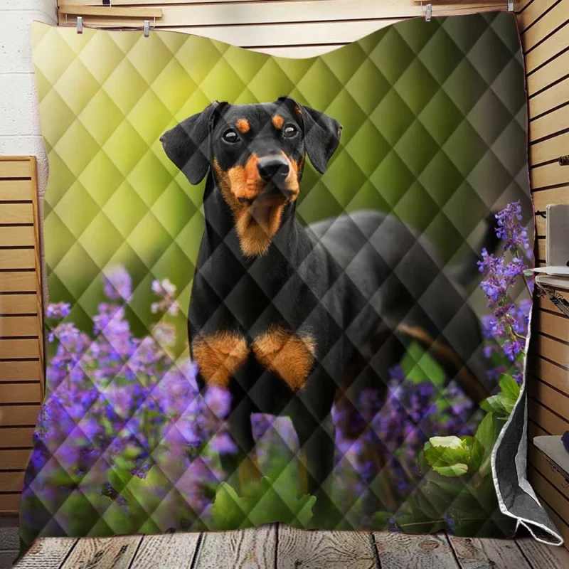 Doberman Puppies with Flowers and Bokeh: Doberman Pinscher Quartet Quilt Blanket