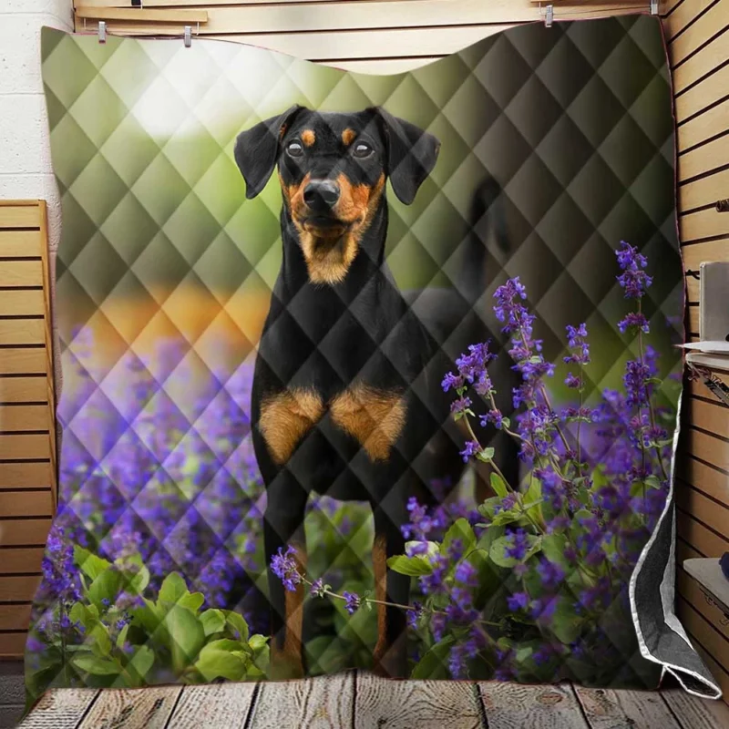 Doberman Puppies with Flowers and Depth of Field: Doberman Pinscher Quartet Quilt Blanket