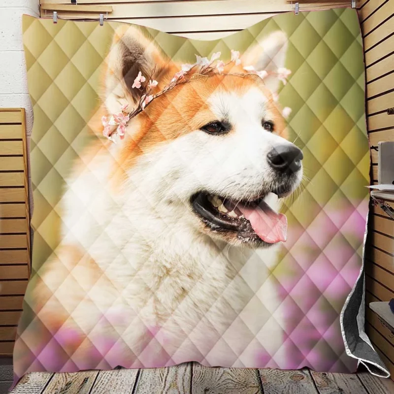 Dreamy Blurred Surroundings: Shiba Inu Quartet Quilt Blanket