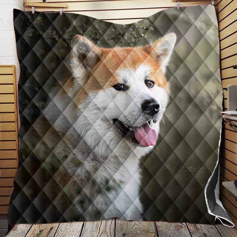 Elegance in Fourfold: The Akita Quartet Quilt Blanket