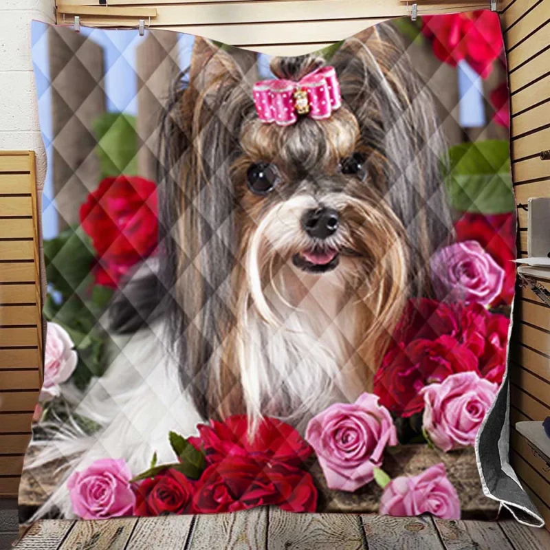 Elegance in Harmony: Silky Terrier Quartet Quilt Blanket