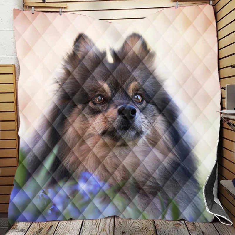 Elegance in Symmetry: Spitz Quartet Quilt Blanket