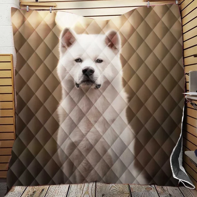 Elegant and Enigmatic: The Akita Quartet Quilt Blanket