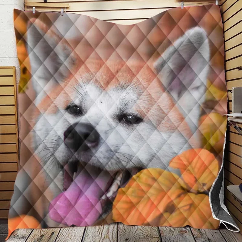 Embracing Fall Colors: The Akita Quartet Quilt Blanket