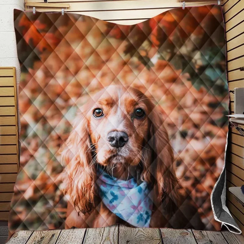 English Elegance with Cocker Spaniels Quilt Blanket