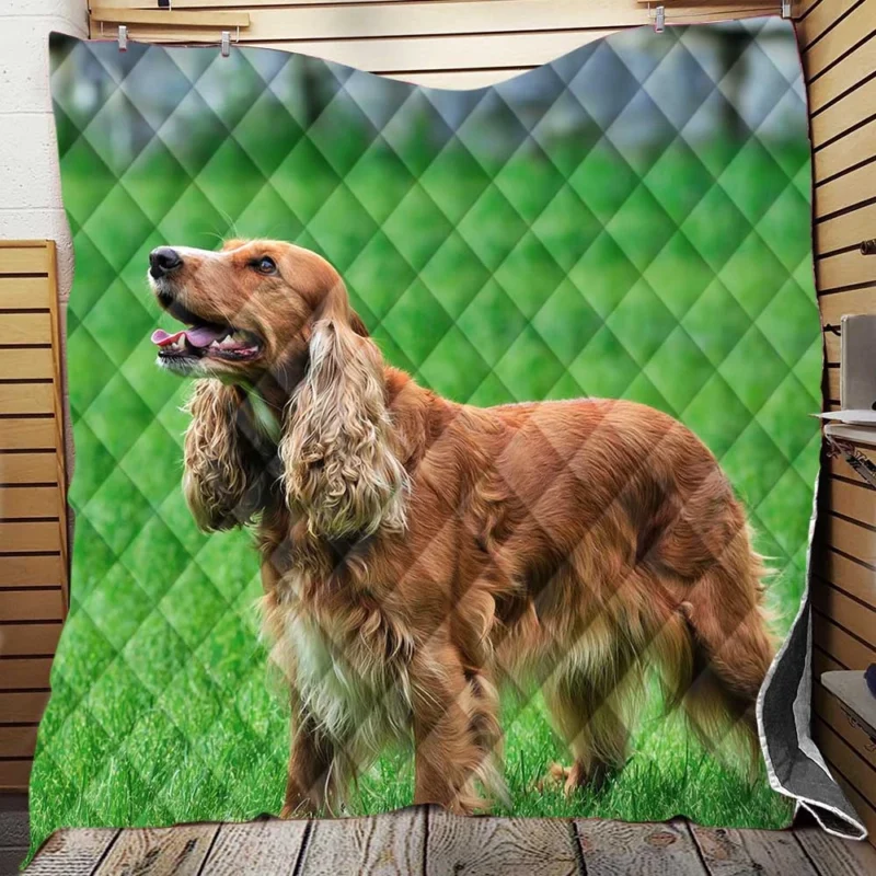 English Elegance with Spaniel: Cocker Spaniel Quartet Quilt Blanket