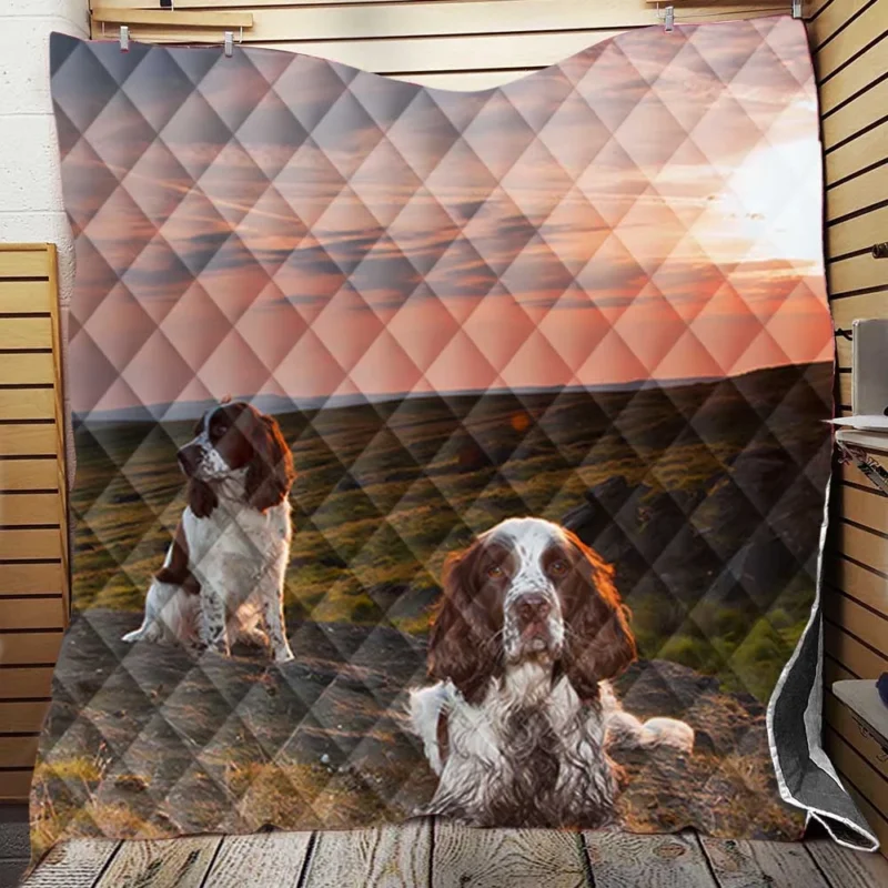English Springer Spaniel in a Landscape: Quartet Quilt Blanket