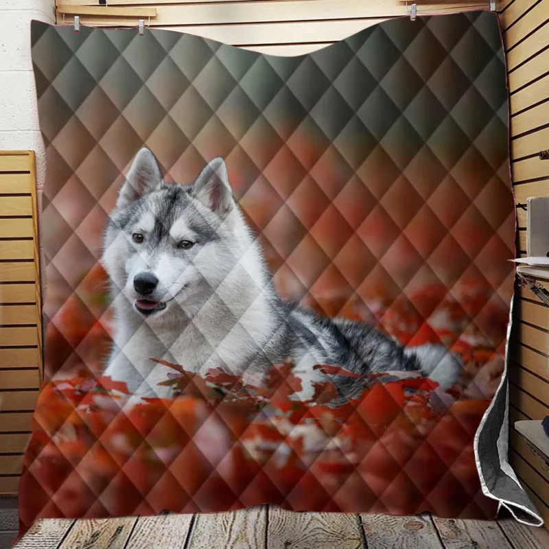 Ethereal Beauty: Husky Depth of Field Among Leaves Quilt Blanket