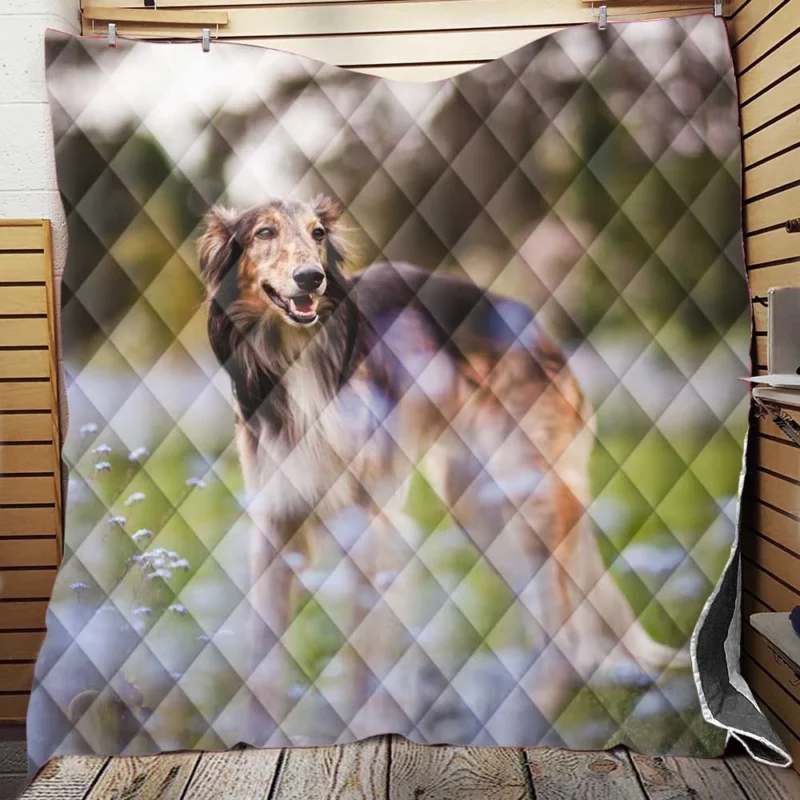 Exploring Depth Of Field with the Borzoi: Borzoi Quilt Blanket