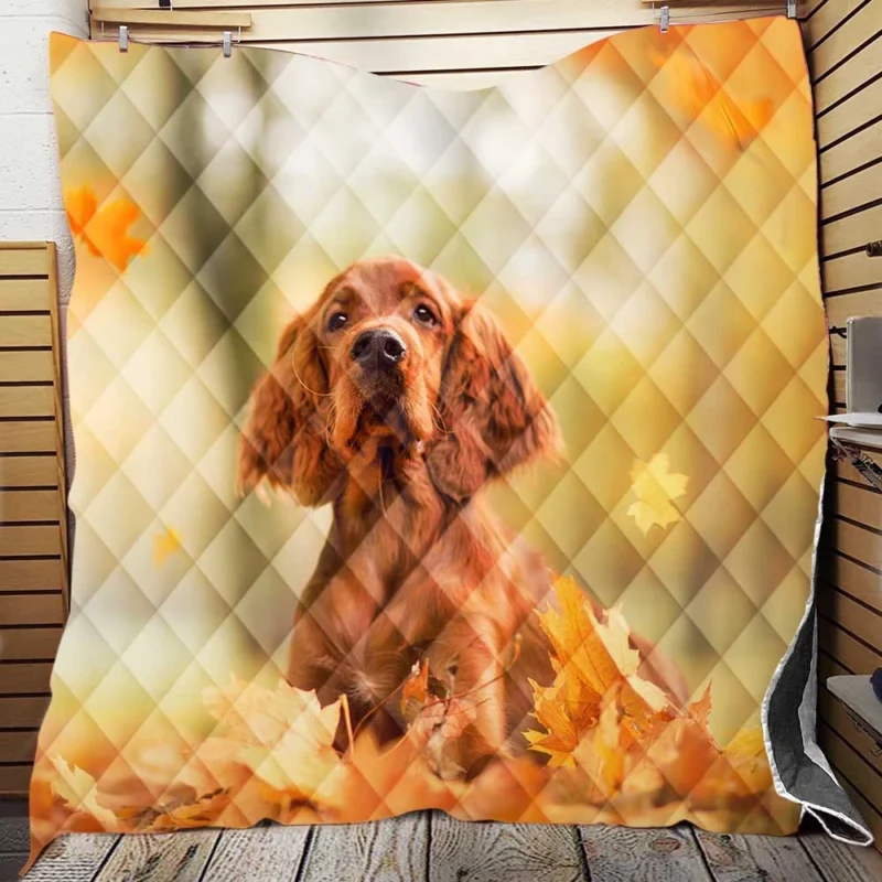 Fall Colorful Embrace: Cocker Spaniel Quartet Quilt Blanket