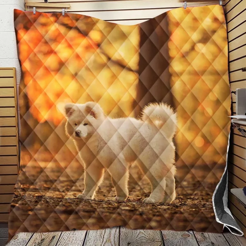 Fall Light and Bokeh: Akita Quartet Wallpaper Quilt Blanket