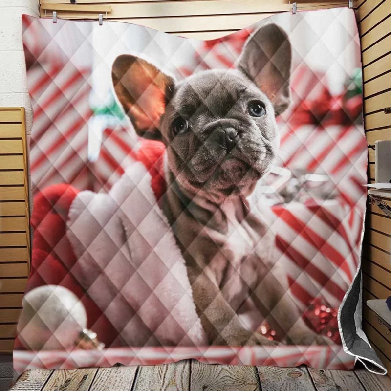 Festive French Bulldog with Santa Hat Quilt Blanket