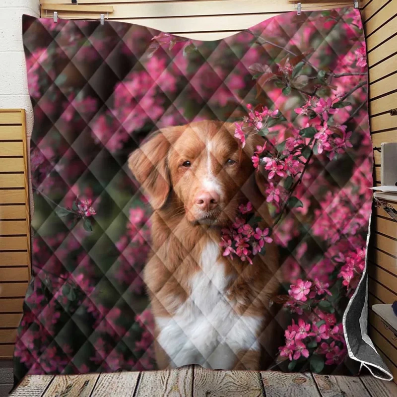 Fluffy Charm: Old English Sheepdog Quartet Quilt Blanket