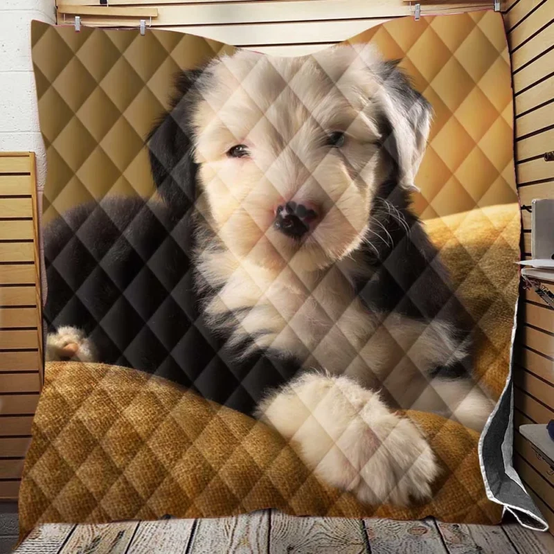 Fluffy Joy on the Grass: Puppy Quartet Quilt Blanket