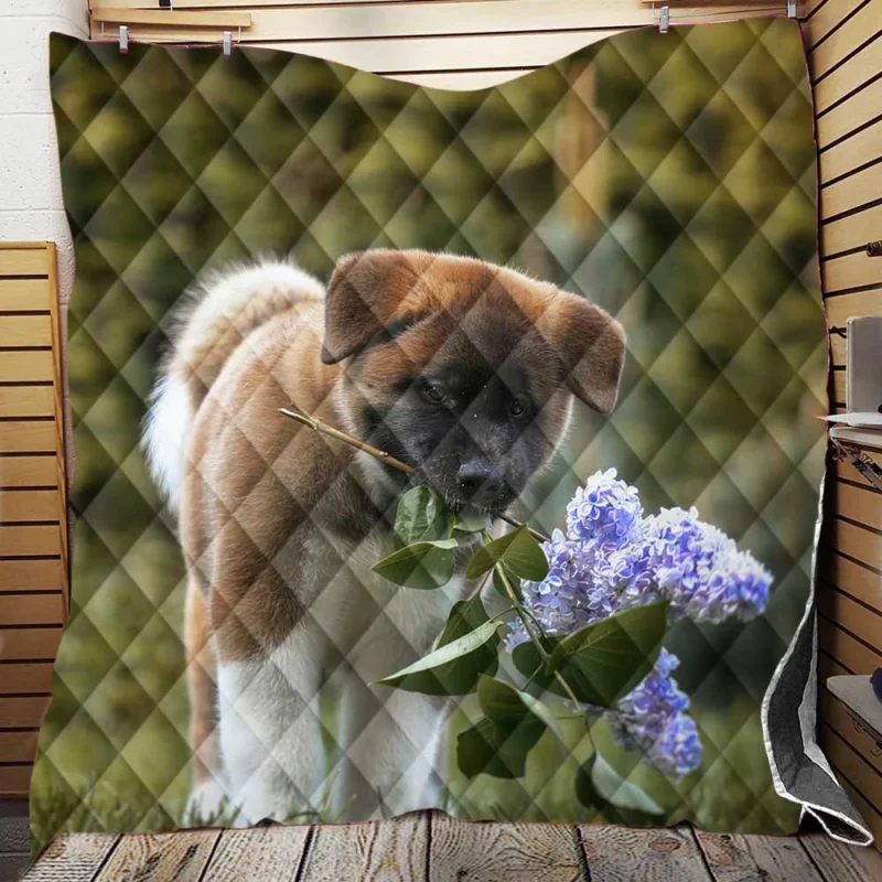 Four Majestic Akita Puppies in an Artful Quartet Quilt Blanket