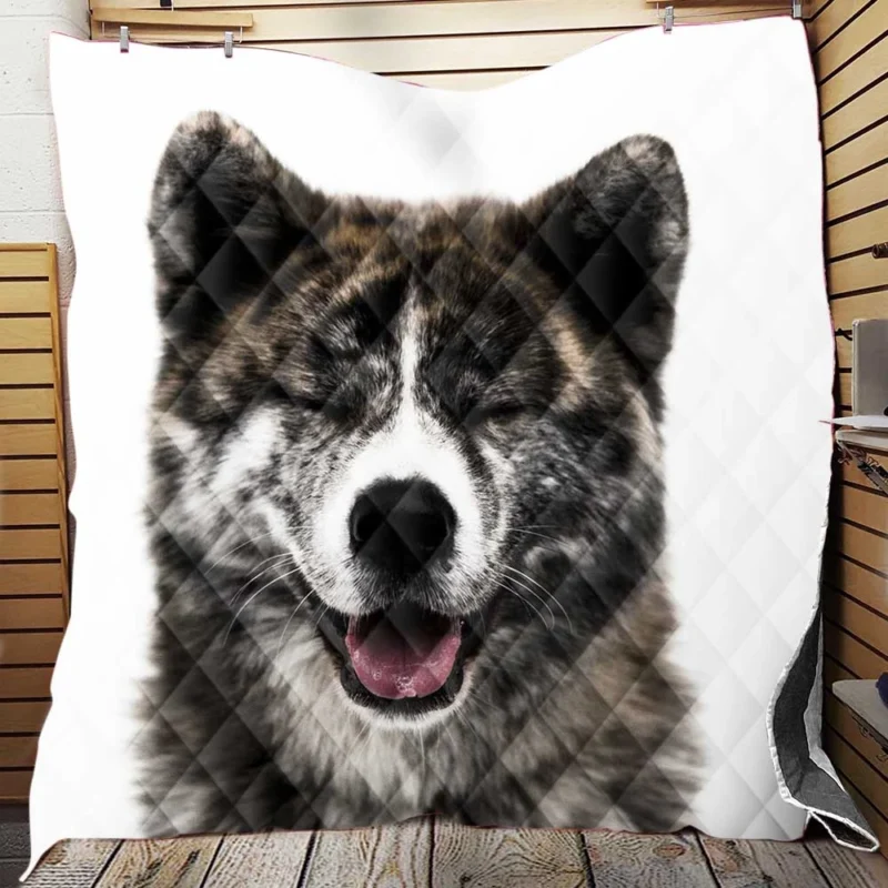 Fourfold Akita Charm: Quartet Allure Quilt Blanket