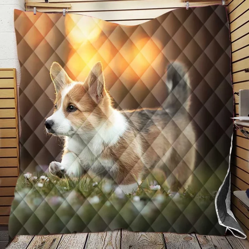 Fourfold Corgi Charm Dog Quartet Quilt Blanket