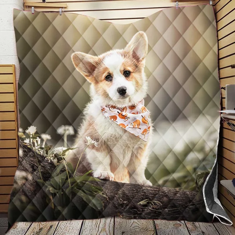 Fourfold Corgi Very Cuteness: Corgi Quartet Quilt Blanket