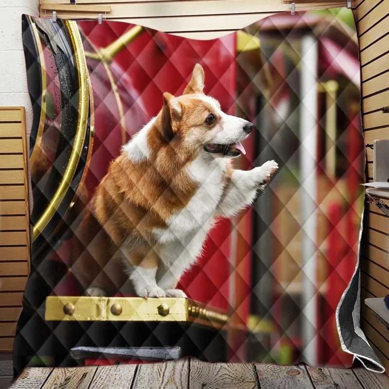 Fourfold Cute Corgi Elegance Quartet Quilt Blanket