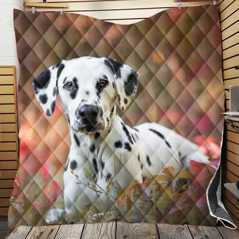 Fourfold Dalmatian Elegance: Dalmatian Quartet Quilt Blanket