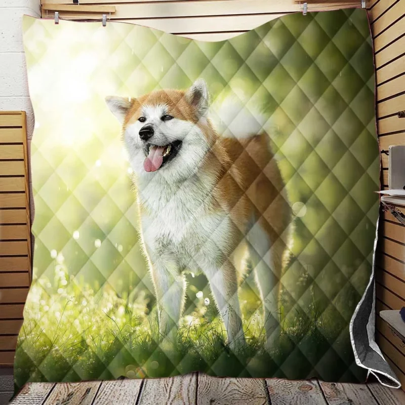 Fourfold Elegance: The Akita Quartet Quilt Blanket