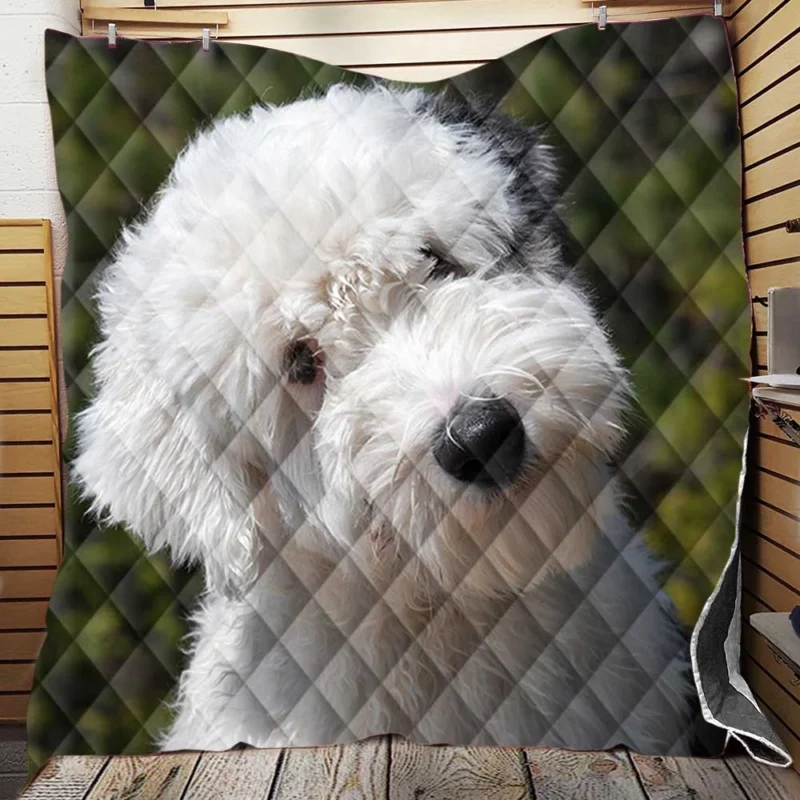 Fourfold Fluffiness: Old English Sheepdog Quartet Quilt Blanket