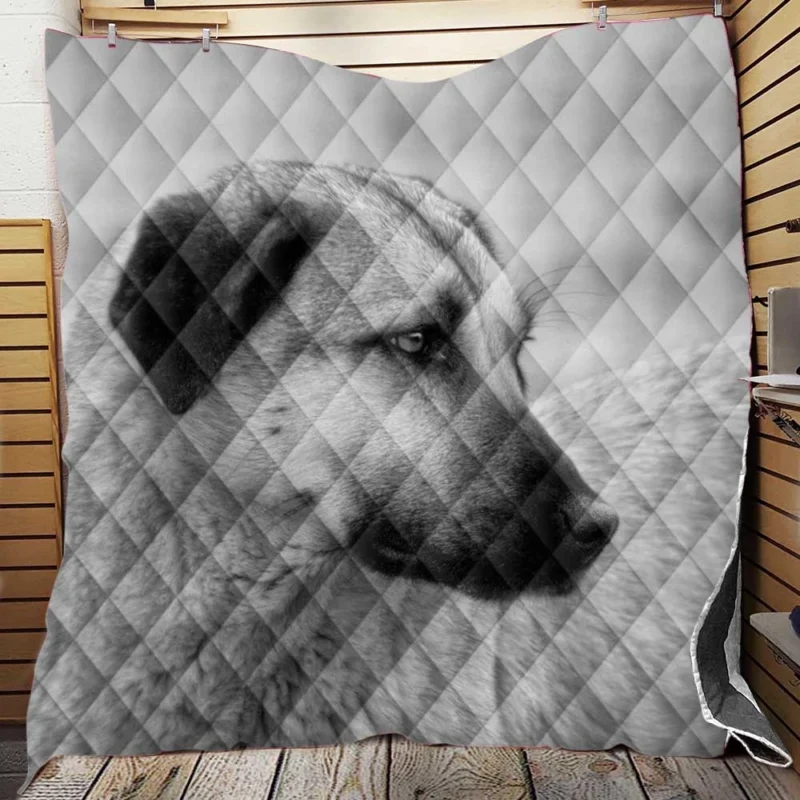 Fourfold Guardian Majesty: Kangal Shepherd Dogs Quilt Blanket