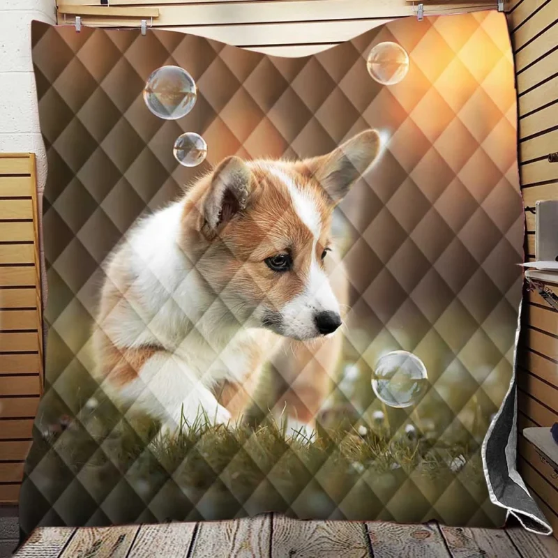 Fourfold Little Corgi Delight Quartet Quilt Blanket