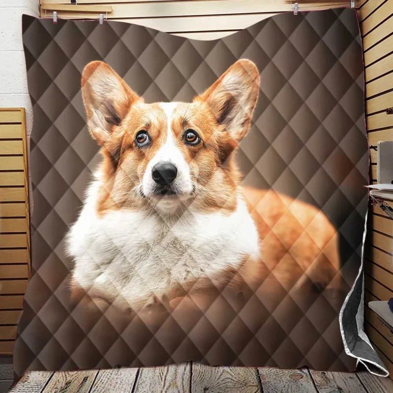 Fourfold Playful Corgi Delight Dog Quartet Quilt Blanket