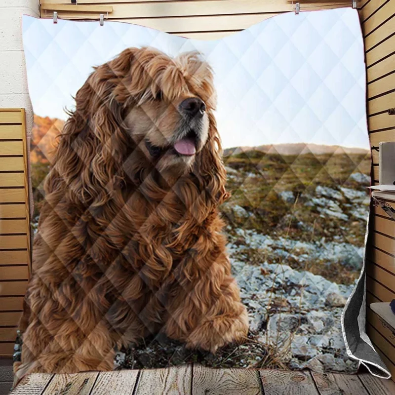 Fourfold Spaniel Beauty: Cocker Spaniel Quartet Quilt Blanket