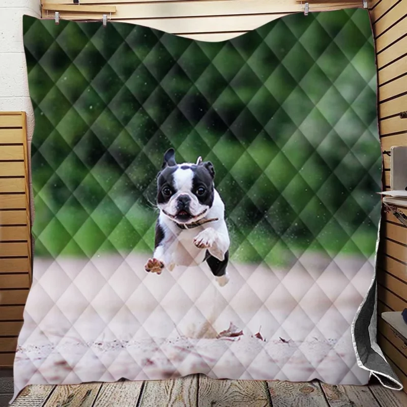 French Bulldog Allure: A Breed Like No Other Quilt Blanket