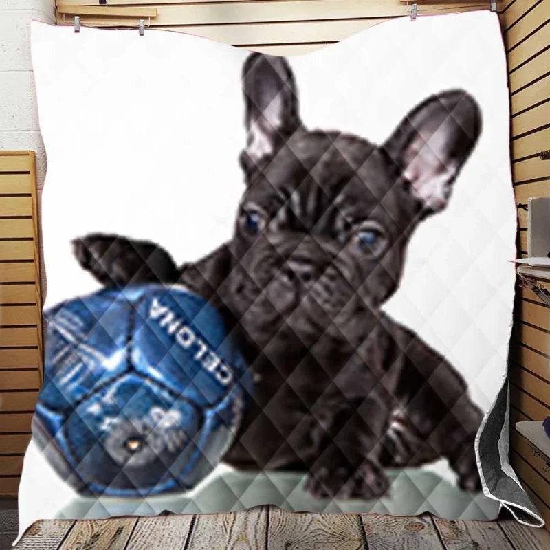 French Bulldog Ball Play: Muzzle and Puppy Fun Quilt Blanket