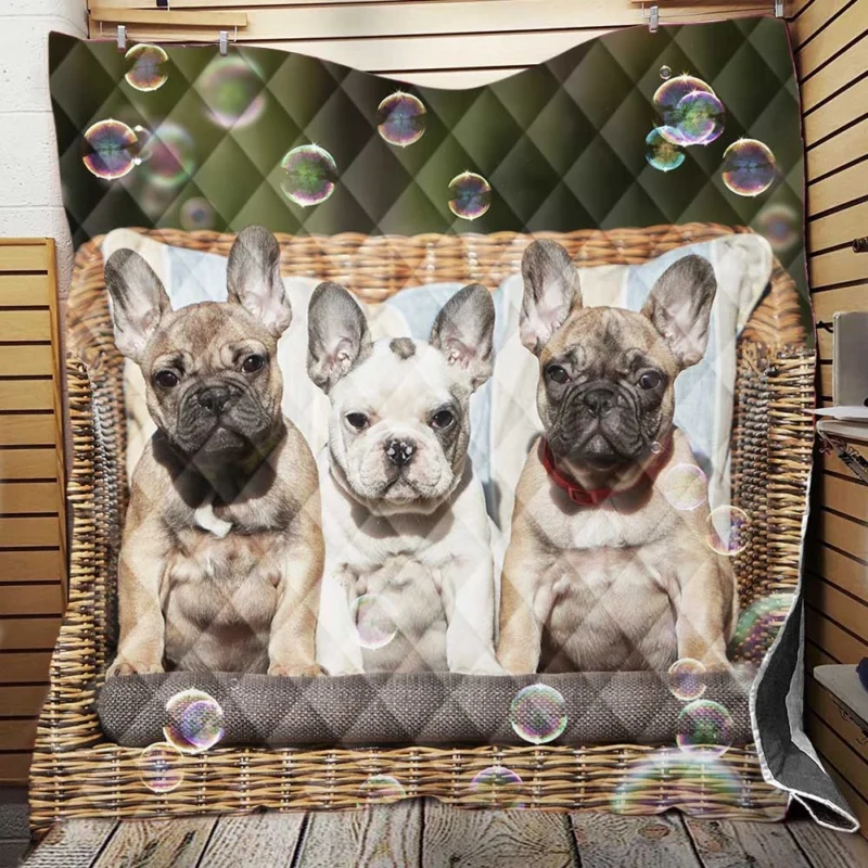 French Bulldog Bubble Bliss: Cute Puppy Play Quilt Blanket