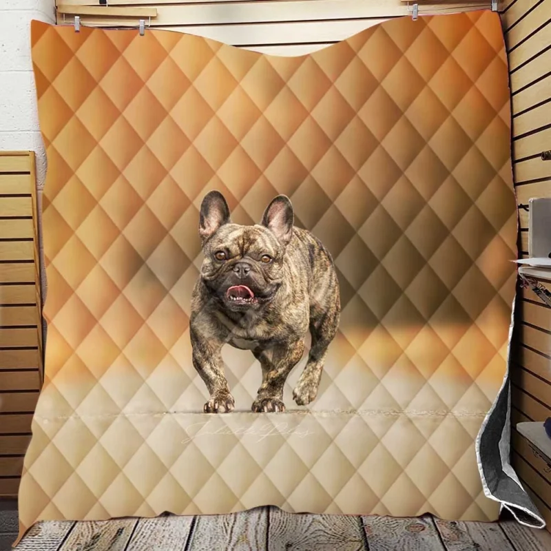 French Bulldog Depth Of Field: Unveiling Hidden Beauty Quilt Blanket