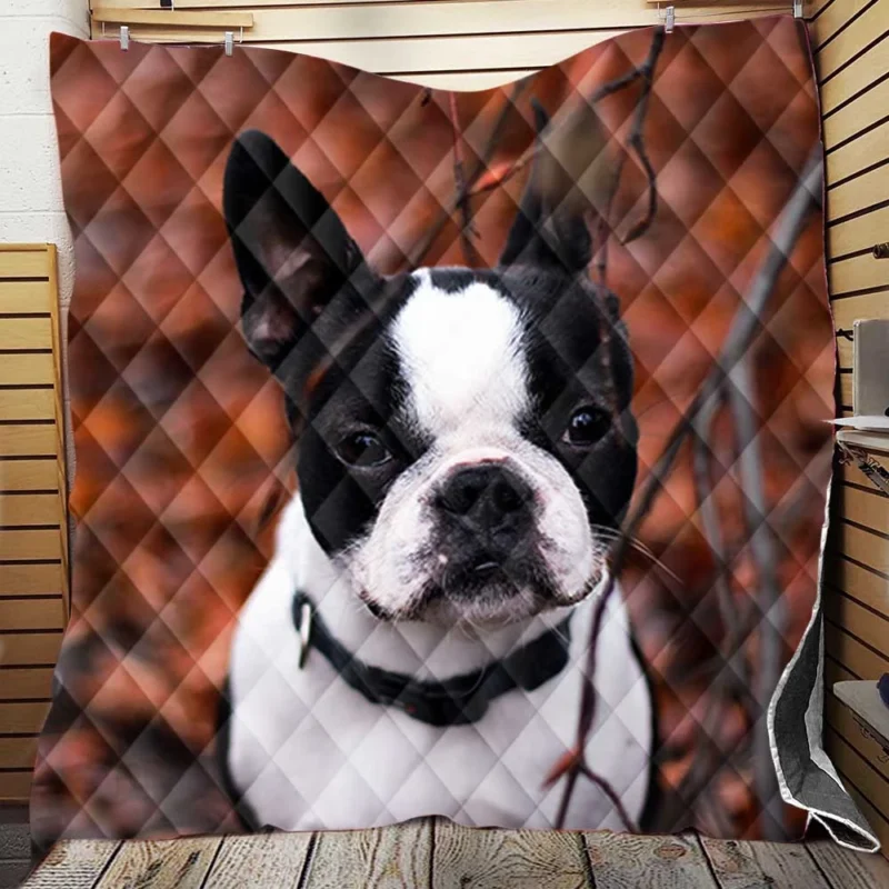 French Bulldog Dreams: In the World of Whimsy Quilt Blanket