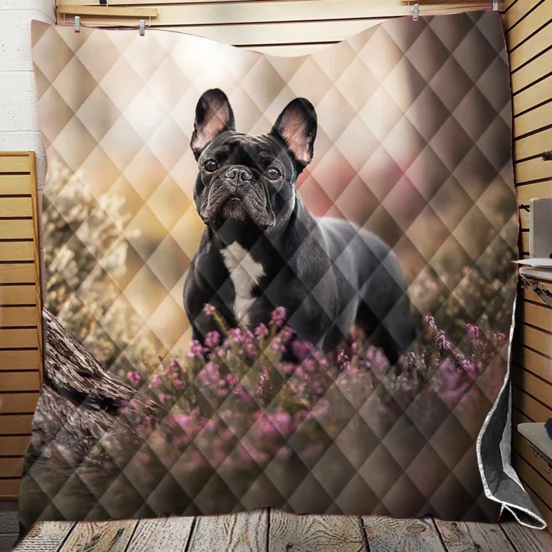 French Bulldog Enchantment: Forest Adventure Quilt Blanket