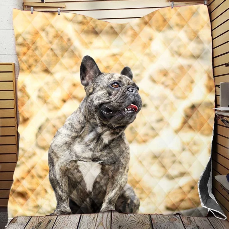French Bulldog Euphoria: Where Every Moment Shines Quilt Blanket