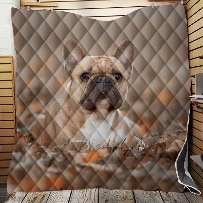 French Bulldog Fall Fantasy: Leaves in the Air Quilt Blanket