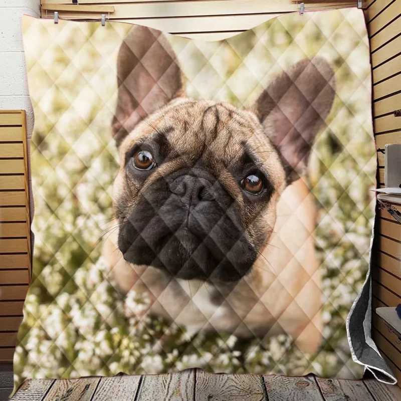 French Bulldog Floral Serenity: Among White Blooms Quilt Blanket