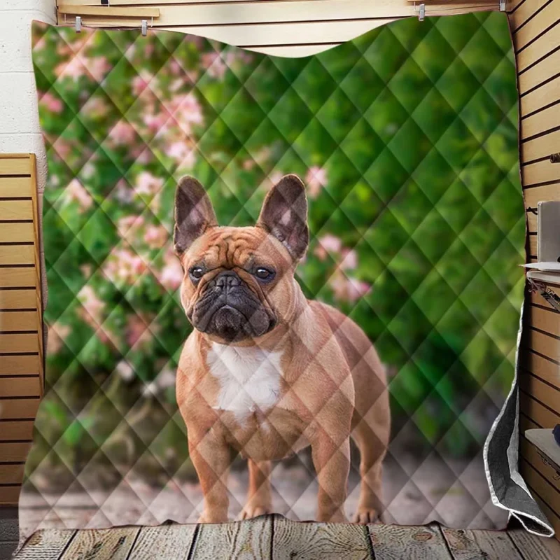 French Bulldog Hat and Puppy: A Duo of Delight Quilt Blanket