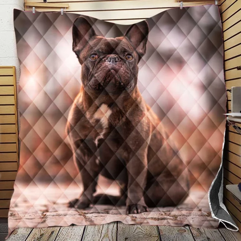 French Bulldog Magic: Spellbinding Moments Quilt Blanket