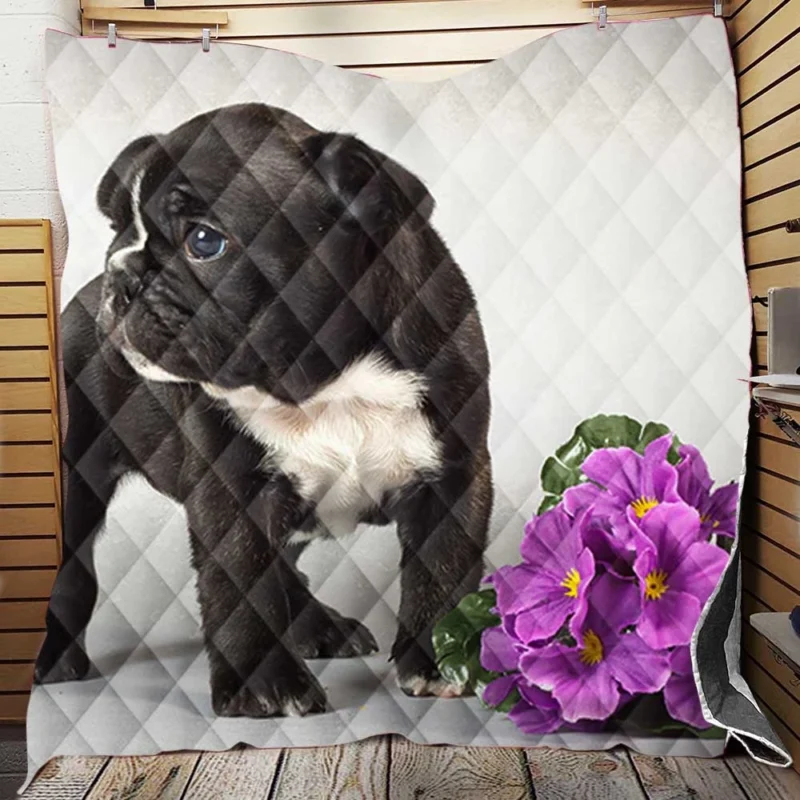 French Bulldog Pup: Innocence in Every Paw Quilt Blanket