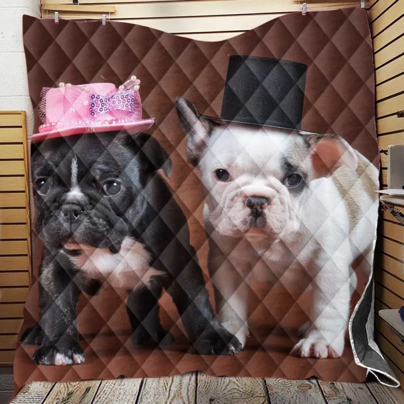 French Bulldog Puppies: Adorable Mr. and Mrs. Hats Quilt Blanket