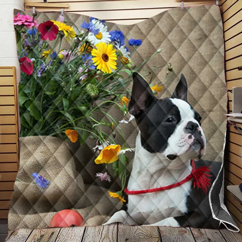 French Bulldog Secret: Whispering Elegance Quilt Blanket