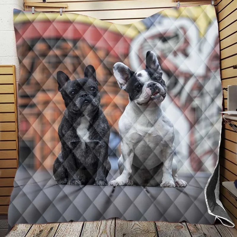 French Bulldog World in Depth of Field Quilt Blanket