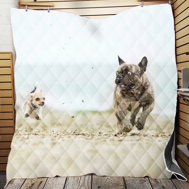 French Bulldog vs. Chihuahua: Epic Depth Of Field Quilt Blanket